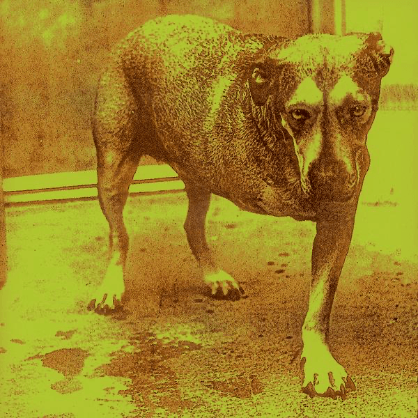 Alice In Chains - Alice In Chains Alice In Chains - Alice In Chains