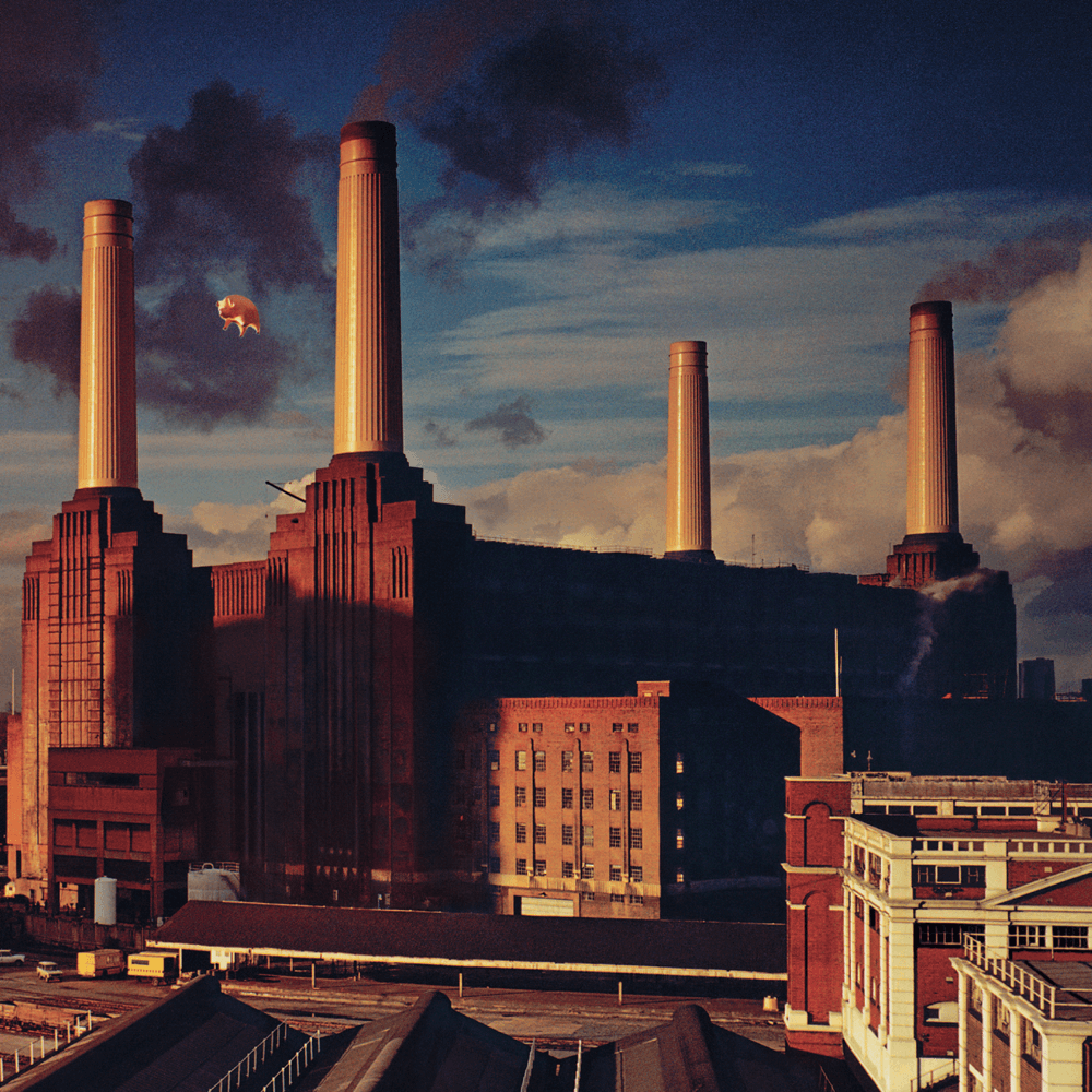 Pink Floyd - Animals Pink Floyd - Animals