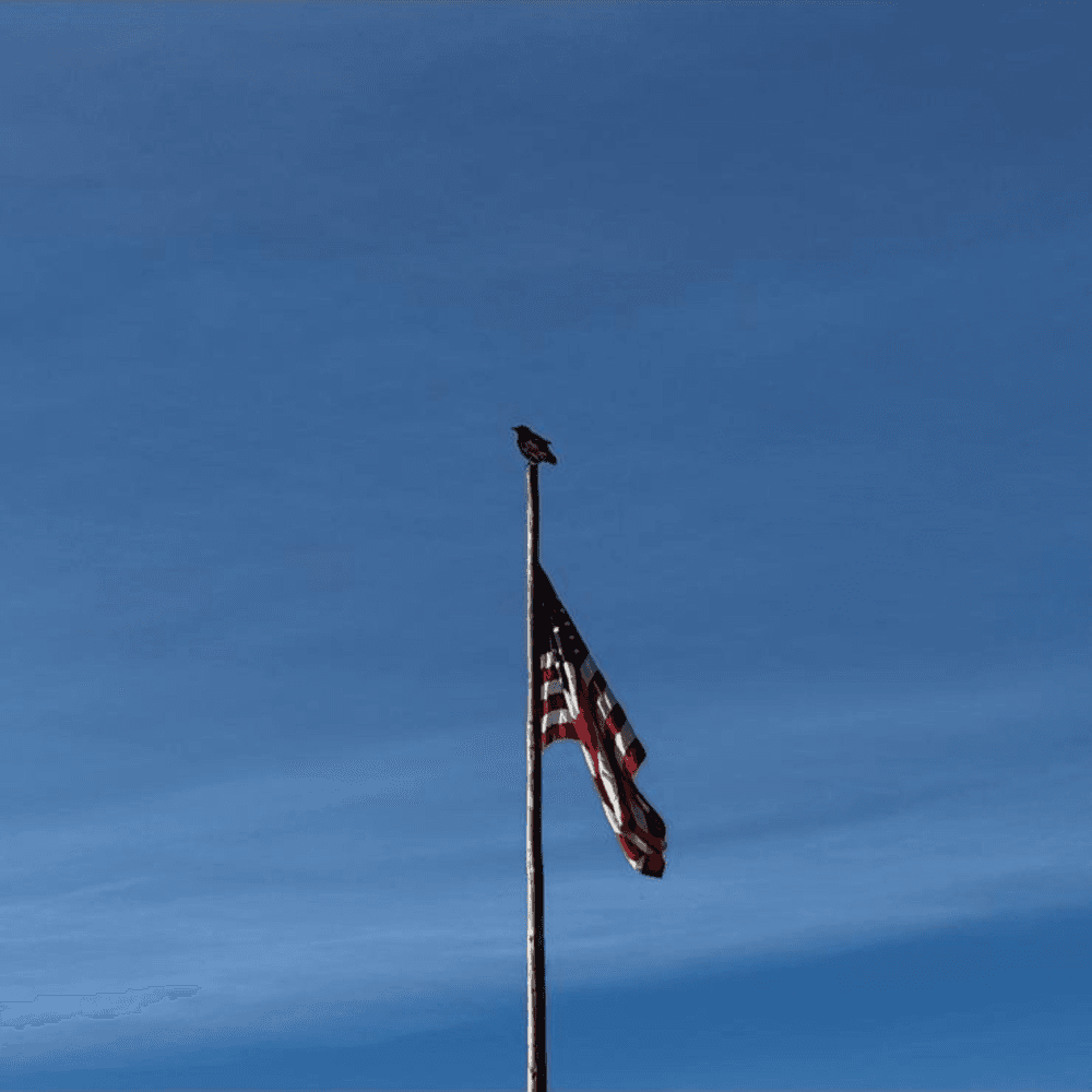 Bessie And The Rainbowkids - Colorz