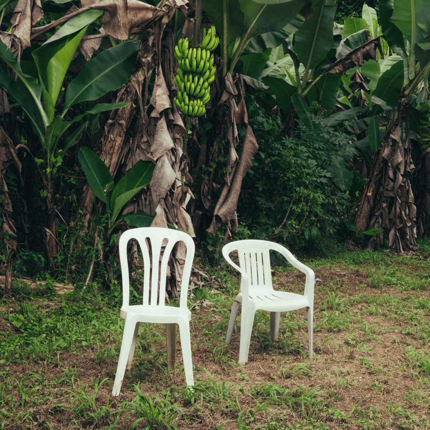 Bad Bunny - Debí Tirar Más Fotos Bad Bunny - Debí Tirar Más Fotos