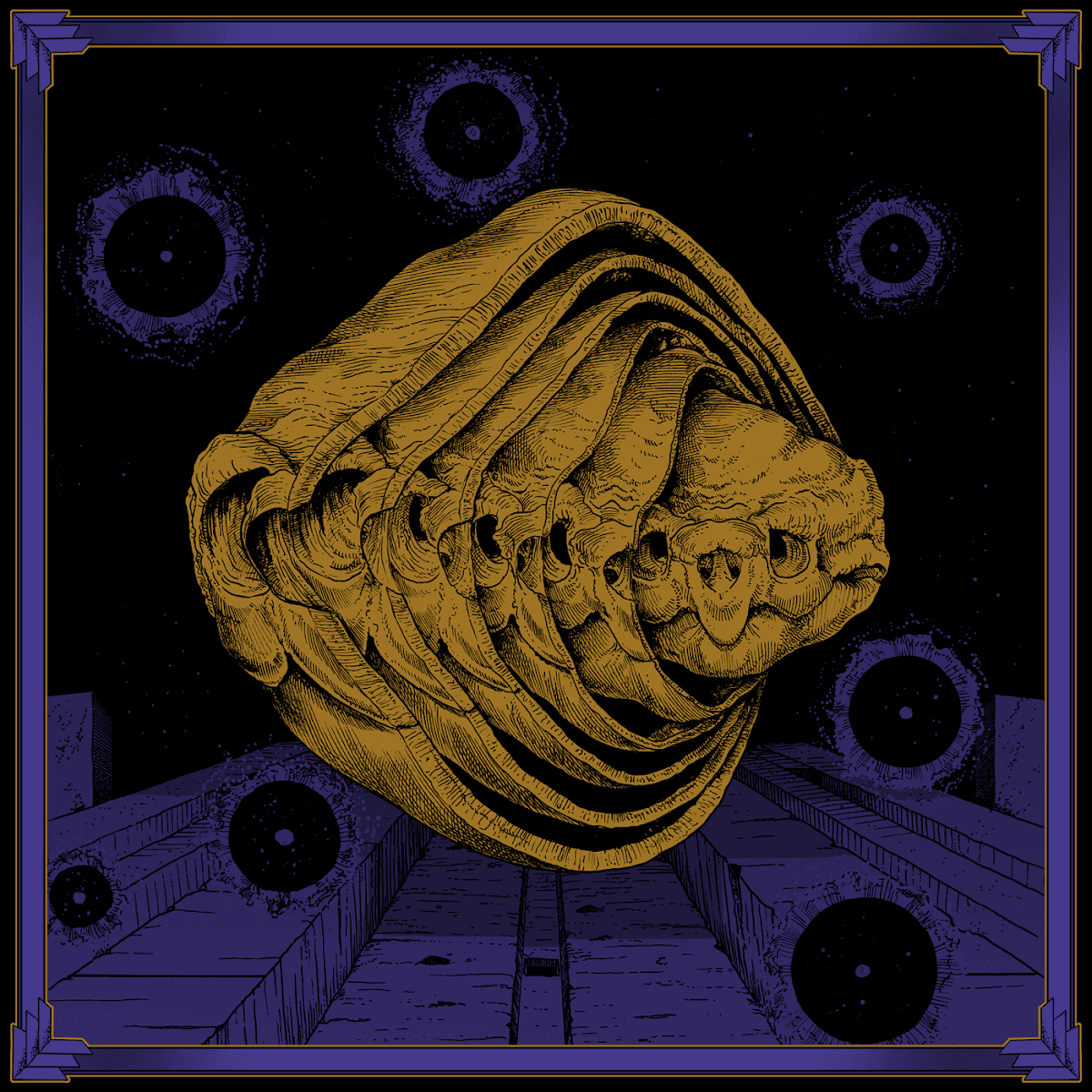 Tortuga - Iterations Tortuga - Iterations