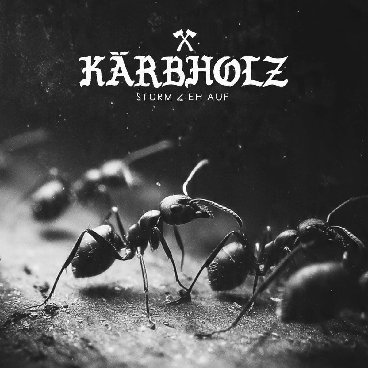 Kärbholz - Sturm zieh auf Kärbholz - Sturm zieh auf