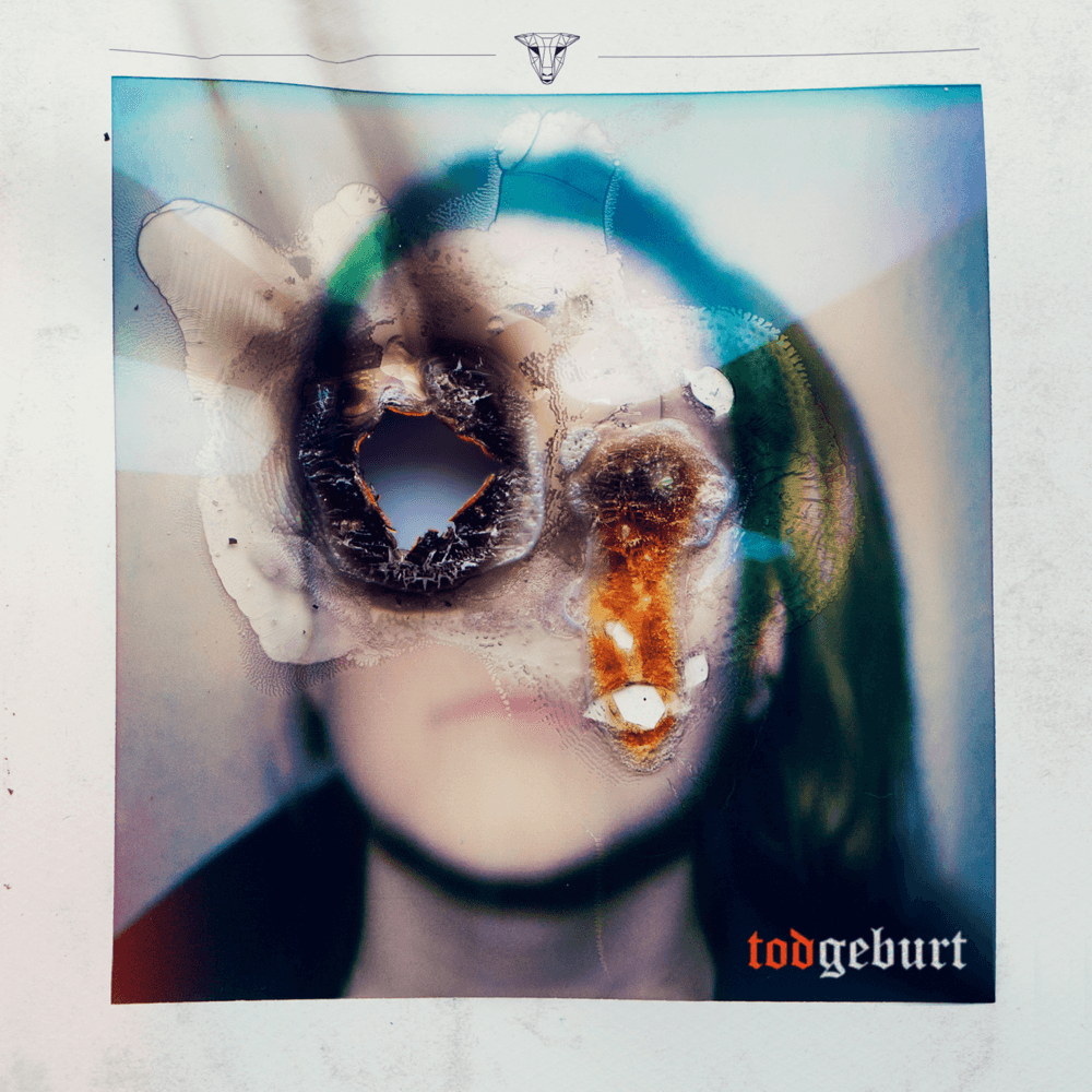 Pilz - Tod/Geburt Pilz - Tod/Geburt